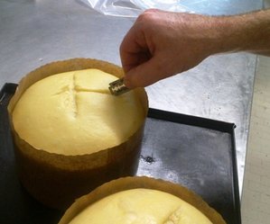 panettone