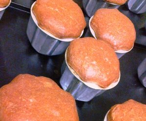 pandoro
