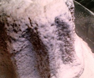 pandoro