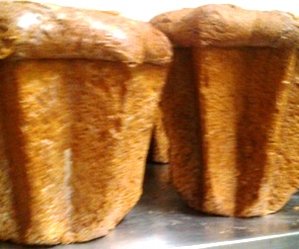 pandoro