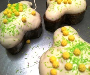 colomba mimosa