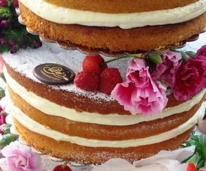 torta nuda