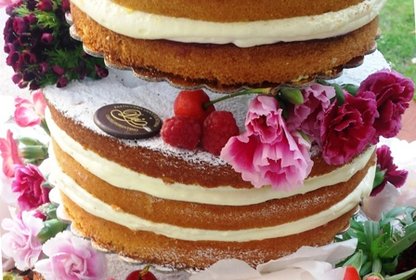 torta nuda