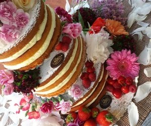 torta nuda