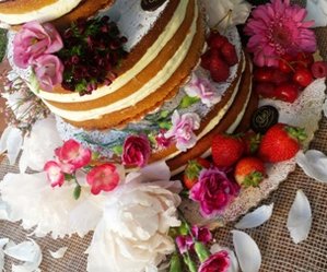 torta nuda