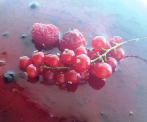 yogurt e ricotta