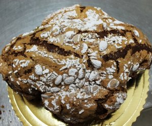 Colomba classica