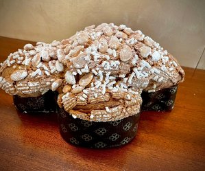 Colomba classica 