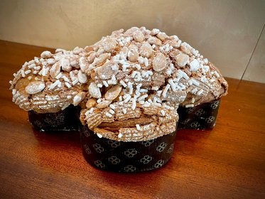 Colomba classica 