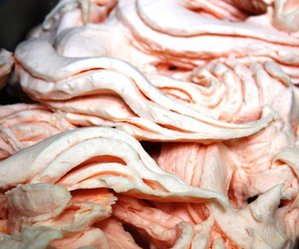 gelato