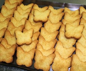farfalle vegane