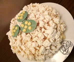 mimosa