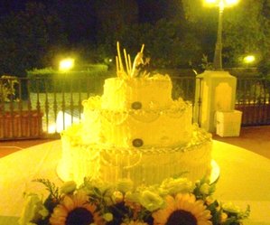 Torta americana