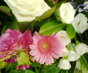 Fiori