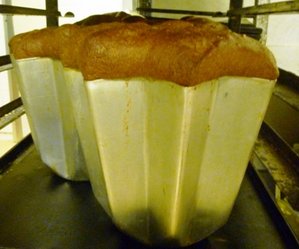 pandoro