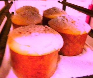 panettoni