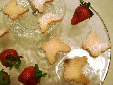 farfalle vegane
