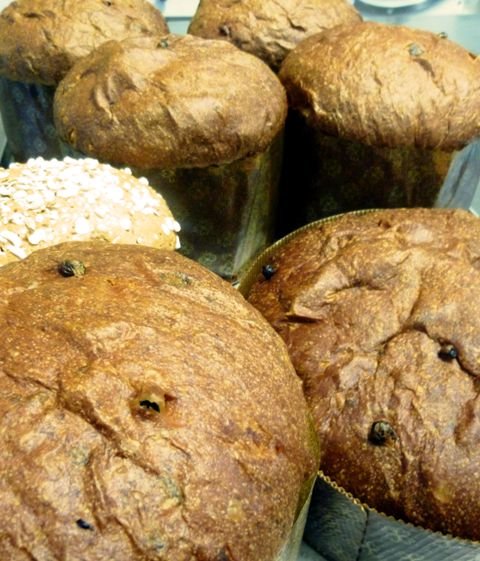panettoni