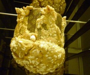panettone