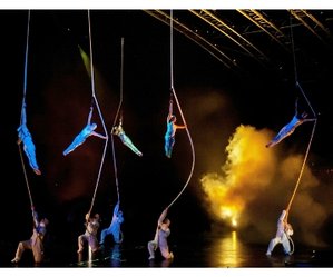 mario lensi cirque du soleil