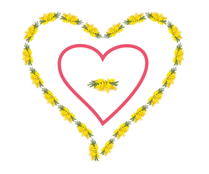 cuore mimosa