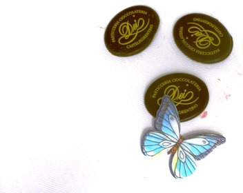 farfalla logo