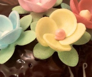 colombe cioccolato