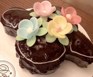 colombe cioccolato