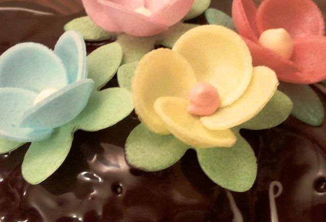 colombe cioccolato