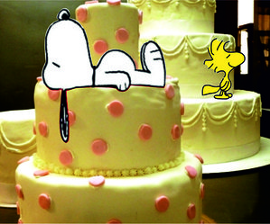 torte bambini